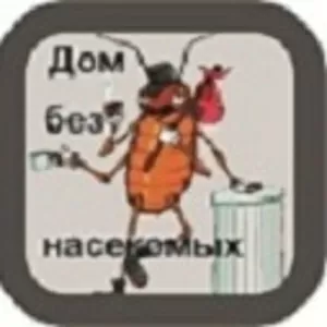 Дом без насекомых