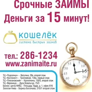 Кошелёк- Система быстрых займов 