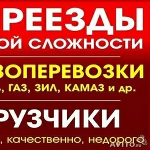 Грузоперевозки и услуги грузчиков.