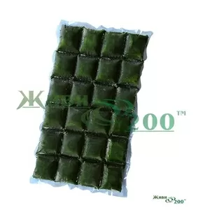 Живи200 