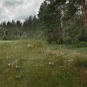 Земля С/Х нахначения по Ярославскому шоссе