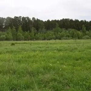 Меняю участки в Зоркальцево (Томский район) на деньги