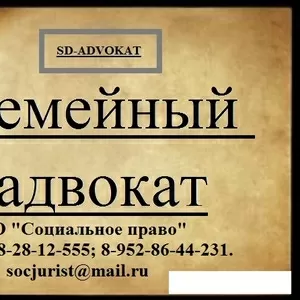 Семейные дела,  юристы по семейному праву (развод,  раздел,  алименты).