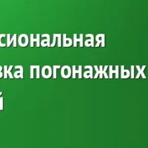 блок хаус для внутренней отделки