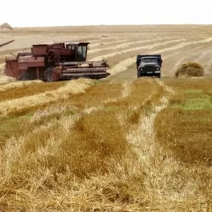 Продажа Сельхозпредприятия в Ростовской обл. 