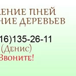 Удaлeние дeревьев,  удаление пней арбористами