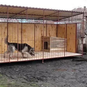 Вольеры для собак  в Москве и области.