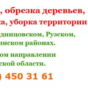 Спил деревьев,  вырубка деревьев,  обрезка деревьев,  расчистка участка