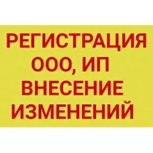 Регистрация,  внесение изменений в ООО/ИП