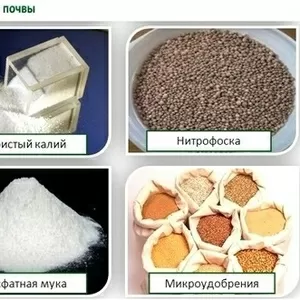 Покупаем минеральные удобрения на постоянной основе