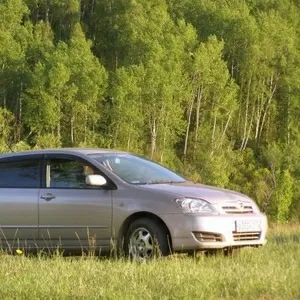 Продам T-CorollaRunx, 2005 г.в.