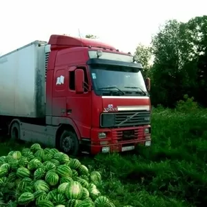 Продам арбуз С доставкой