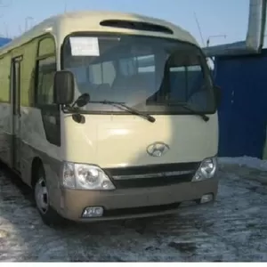 городской автобус  Hyundai County 2010 . 2 двери,  комплектация LUX (от