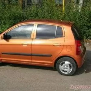 kia picanto